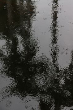 rain drops on the ground and trees reflected in water