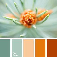 an orange and green color scheme with the center flower