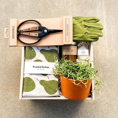 an open box containing gardening supplies and a pair of scissors