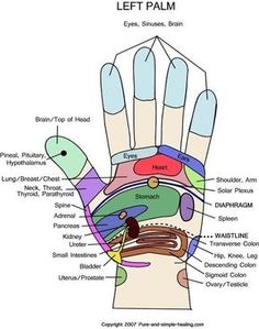 Hand Pressure Points, Face Mapping, Nasal Congestion, Body Hacks