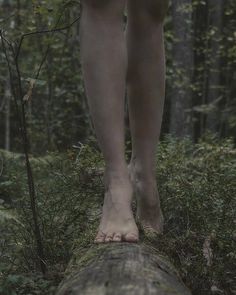 a person standing on a log in the woods