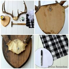 several different types of deer heads and antlers are shown in this collage with the words home remodeledies