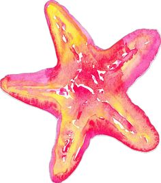 an orange and pink starfish on a white background with watercolors in it