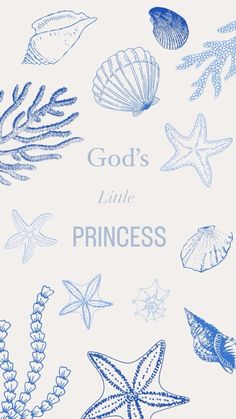 an image of a blue and white book cover with sea shells, starfish, and other marine creatures