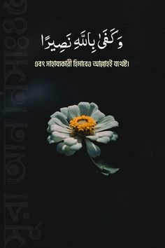 an image of a flower in the middle of a book with arabic writing on it