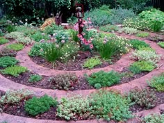 a garden filled with lots of different types of flowers