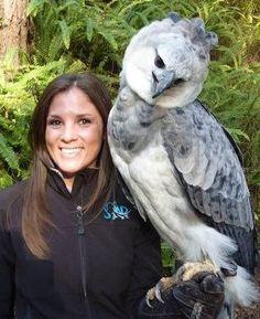 a woman holding an owl on her arm in front of some trees and bushes,