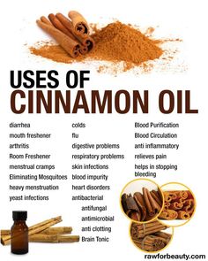 Uses of Cinnamon Oil Cinnamon Uses, Autogenic Training, Cinnamon Health Benefits, Oils Benefits, Cinnamon Benefits, Cinnamon Oil, Cinnamon Essential Oil, Essential Oil Benefits, Young Living Oils