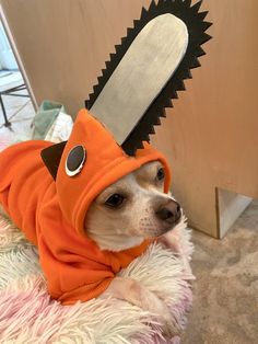 a small dog wearing an orange outfit with a large knife on it's head