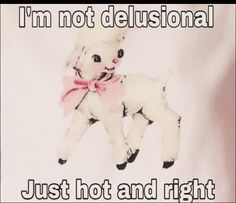 a white stuffed animal with a pink bow on it's neck and the words, i'm not delusional just hot and right