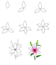 four different types of flowers are shown in this drawing lesson for children to learn how to draw