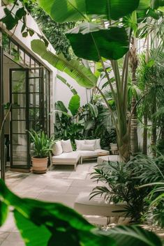 a room filled with lots of green plants and potted plants on the side of it