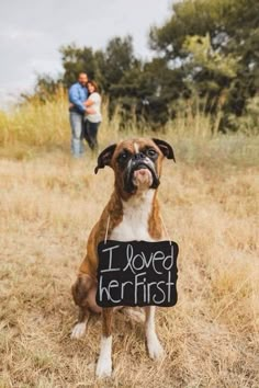 a dog sitting in the grass holding a sign that says i loved her first with it