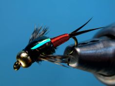 a black and red fly with green tips on it's tip, sitting on a blue background