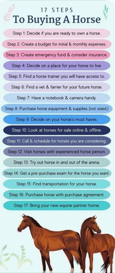 the steps to buying a horse are shown in this graphic above it's description