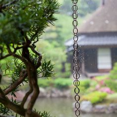 a chain hanging from the side of a tree in front of a house with a pond