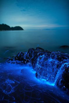 the rocks are glowing blue in the water