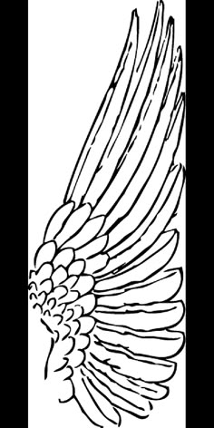 an image of a bird that is flying in the air with its wings spread out