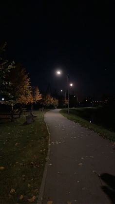 an empty path at night with street lights in the distance and trees on either side