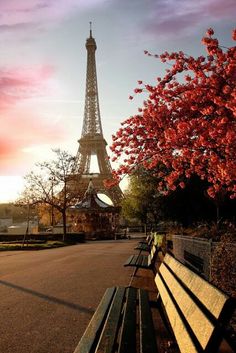 the eiffel tower towering over the city of paris, france at sunset or dawn