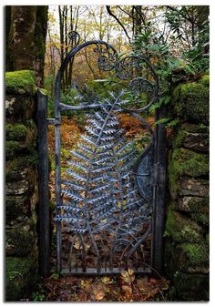 an iron gate in the middle of a forest