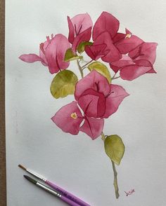 a drawing of pink flowers on white paper with a purple pencil in the foreground