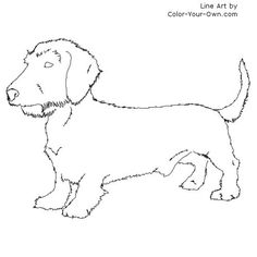 a black and white drawing of a dog