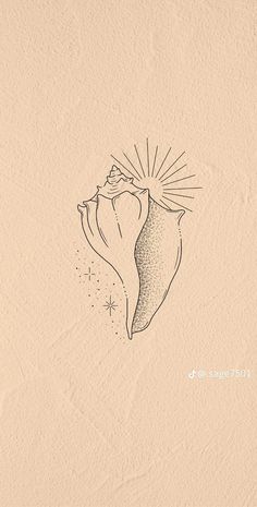 a drawing of a sea shell on a beige background with the sun shining through it