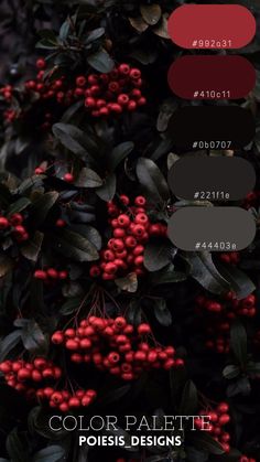 the color palette is red, black, and grey with some green leaves on it