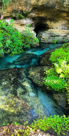 a river flowing through a lush green forest next to a rock face covered in vegetation