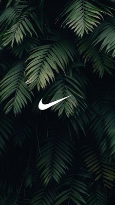 the nike logo is surrounded by green palm fronds and dark foliage in this image