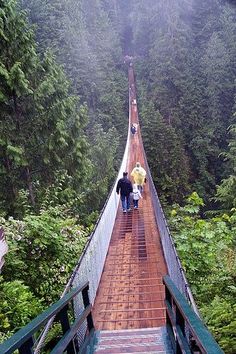 two people walking across a suspension bridge in the woods