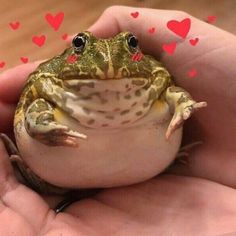 a small frog sitting in the palm of someone's hand with hearts on it