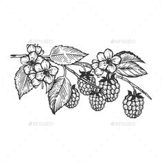 raspberries with leaves and flowers - food objects