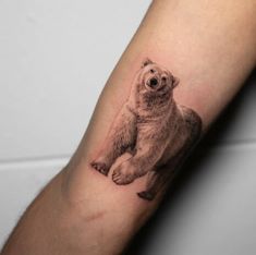 Challenged Polar Bear Tattoo Polar Bear Tattoo Men, Tattoo Polar Bear, Teddy Tattoo, Geometric Bear Tattoo, Bear Tattoo Meaning, Black Bear Tattoo, Bear Claw Tattoo, Grizzly Bear Tattoos, Polar Bear Tattoo