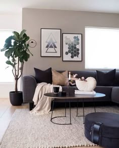 a living room filled with furniture next to a plant and two pictures on the wall