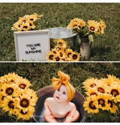 a baby in a bucket with sunflowers and a sign that says you are my sunshinene