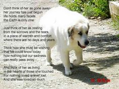 a white dog walking down a dirt road next to grass and bushes with poem written on it