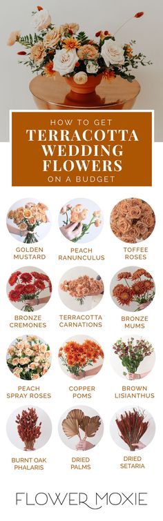 flowers are arranged in different shapes and sizes, with the words how to get the best terracotta flowers on a budget