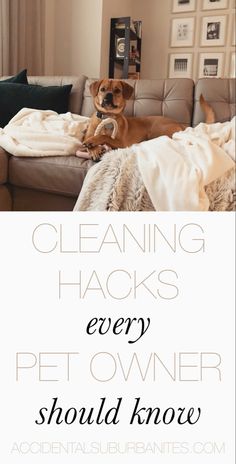 a dog laying on top of a couch with the words cleaning hacks every pet owner should know