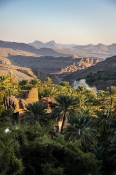 Things to see in Oman Off Road Camping, Countries To Visit, Camping Tips, Backpacking Travel, Wanderlust Travel, Camping Hacks