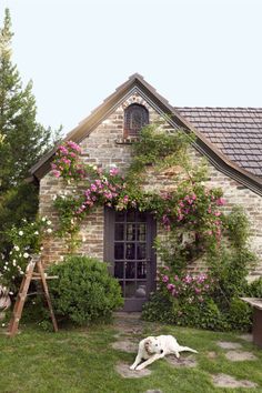 a dog laying on the grass in front of a house with flowers growing all over it