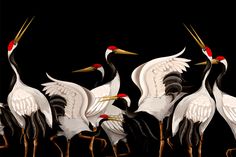 four cranes standing next to each other on a black background