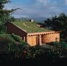 a green roof on top of a building