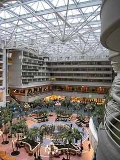 an indoor mall filled with lots of palm trees