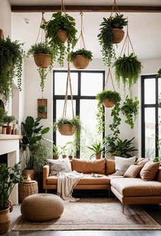 a living room filled with lots of plants and potted plants hanging from the ceiling