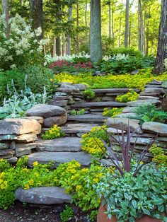 an outdoor garden with rocks and plants