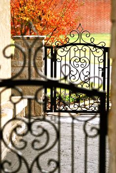 an iron gate is open to let in some autumn foliages and trees with orange leaves