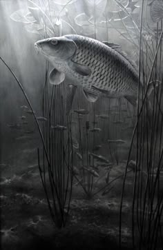 a fish that is standing in the water near some plants and grass with light coming from behind it