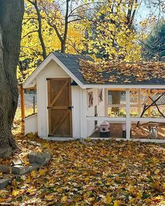 a small white shed sitting in the middle of a leaf covered yard next to a tree